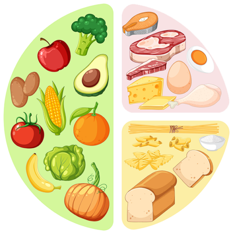 Types of Keto Explained – Which One Is Right for You?